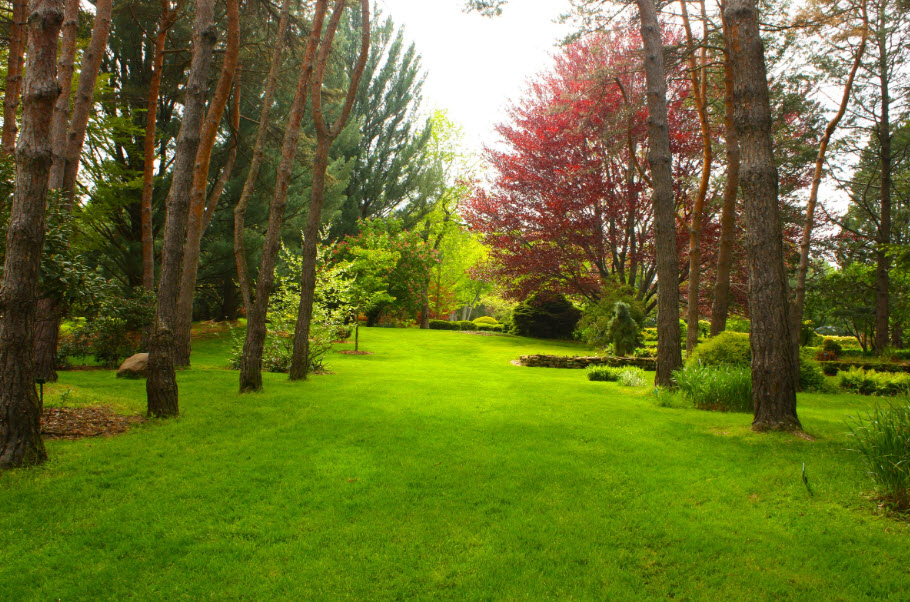 Schoepfle Gardens, United States